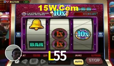 Sistemas de Segurança L55